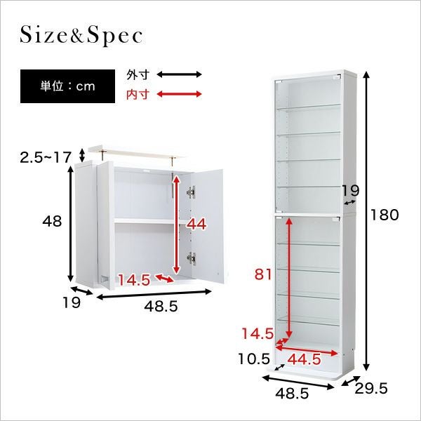 コレクションラック 浅型ハイタイプ 上置きセット 奥行き19cm palace