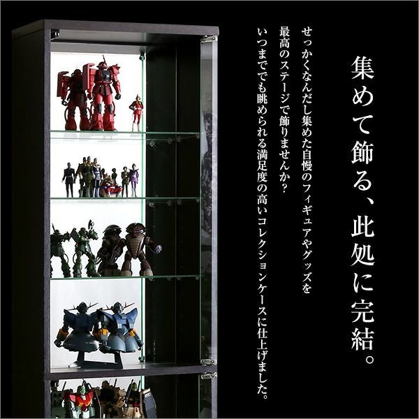 コレクションラック 浅型ハイタイプ 上置きセット 奥行き19cm palace
