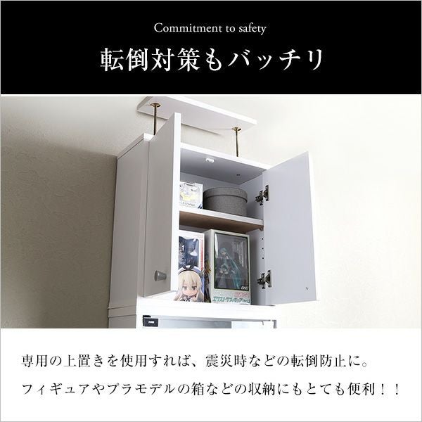 コレクションラック 浅型ハイタイプ(専用上置き) 奥行き19cm palace