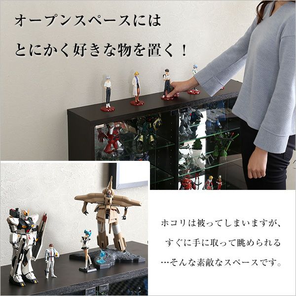 コレクションラック 浅型ロータイプ 奥行き19cm palace [PLC-900