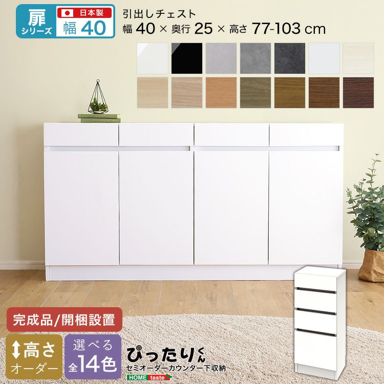 引戸シリーズ】セミオーダーカウンター下収納ぴったりくん エンド