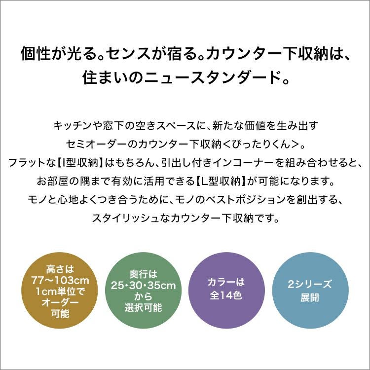 引戸シリーズセミオーダーカウンター下収納ぴったりくん エンド