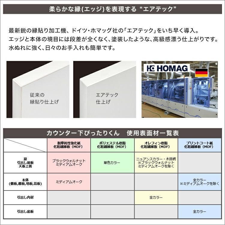 引戸シリーズ】セミオーダーカウンター下収納ぴったりくん エンド