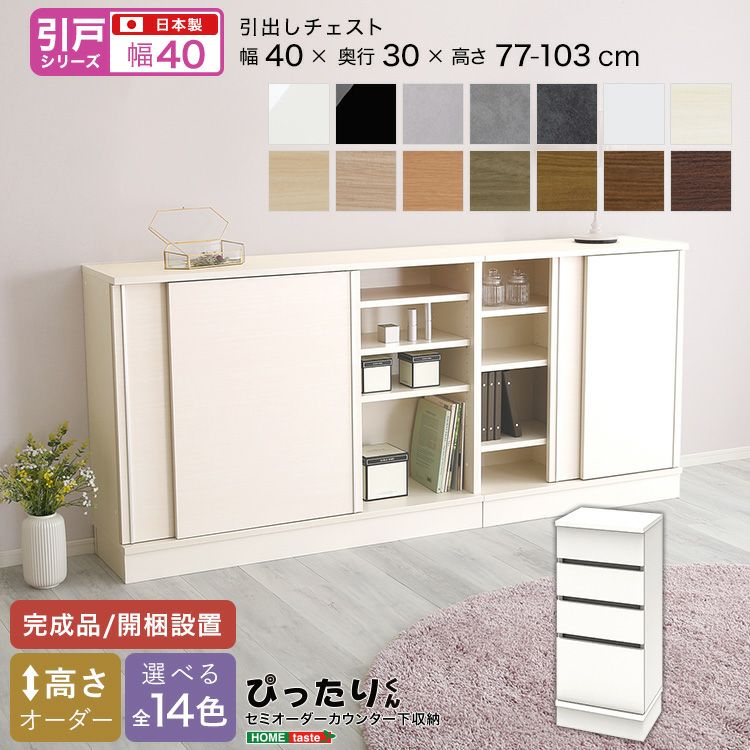 引戸シリーズ】セミオーダーカウンター下収納ぴったりくん エンド