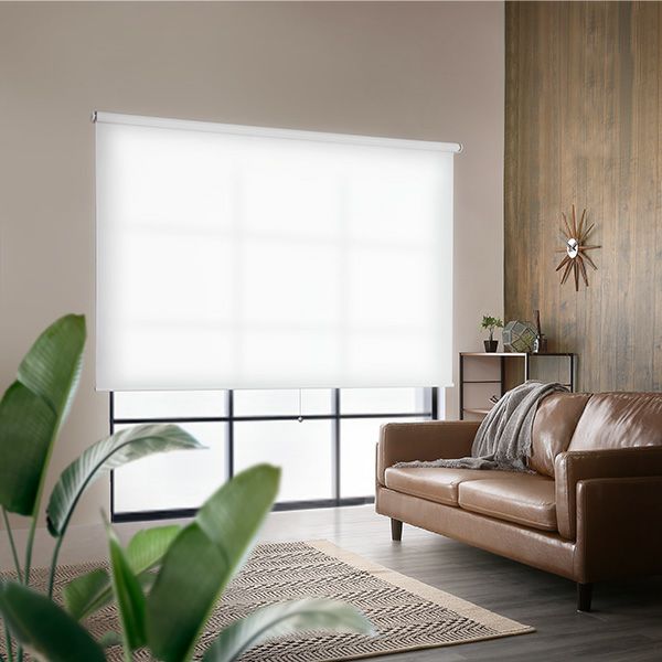 000000005639-01.jpg?size=m&w=