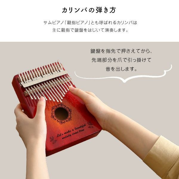 指で弾くピアノ カリンバ初心者セット 絵柄付きタイプ ハードケース 