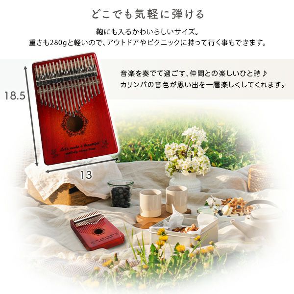 指で弾くピアノ カリンバ初心者セット 絵柄付きタイプ ハードケース