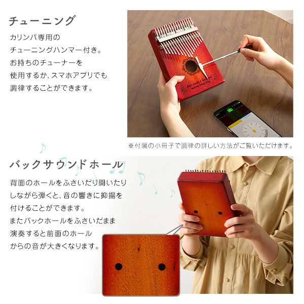 指で弾くピアノ カリンバ初心者セット 絵柄付きタイプ ハードケース