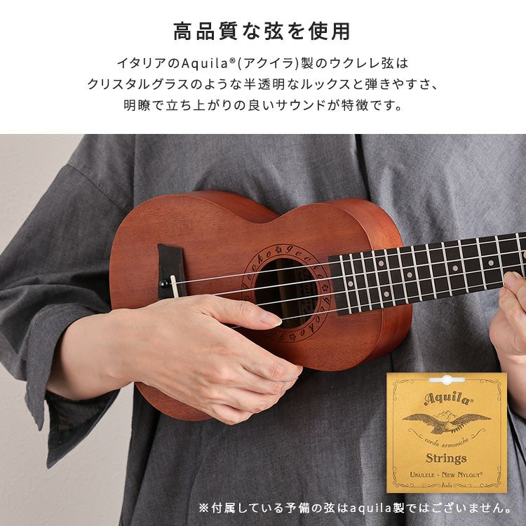 初心者でも始めやすい ウクレレ 12点セット 21インチ(ソプラノ) [SH-06