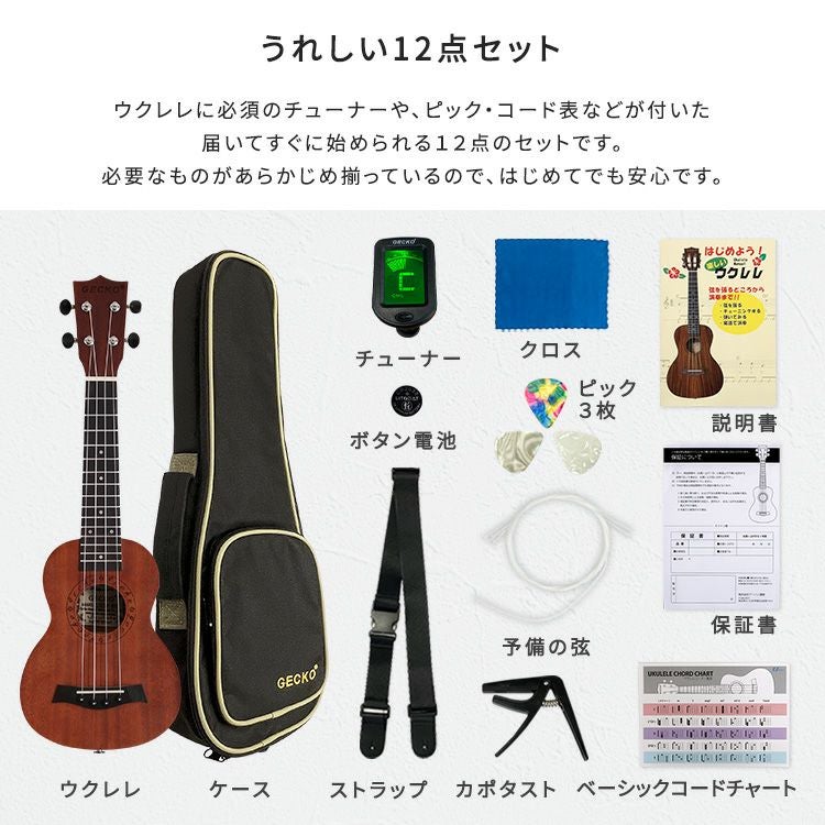 初心者でも始めやすい ウクレレ 12点セット 21インチ(ソプラノ) [SH-06