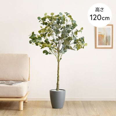 お手入れ簡単フェイクグリーン エバーフレッシュ Lサイズ(180cm) [SH 
