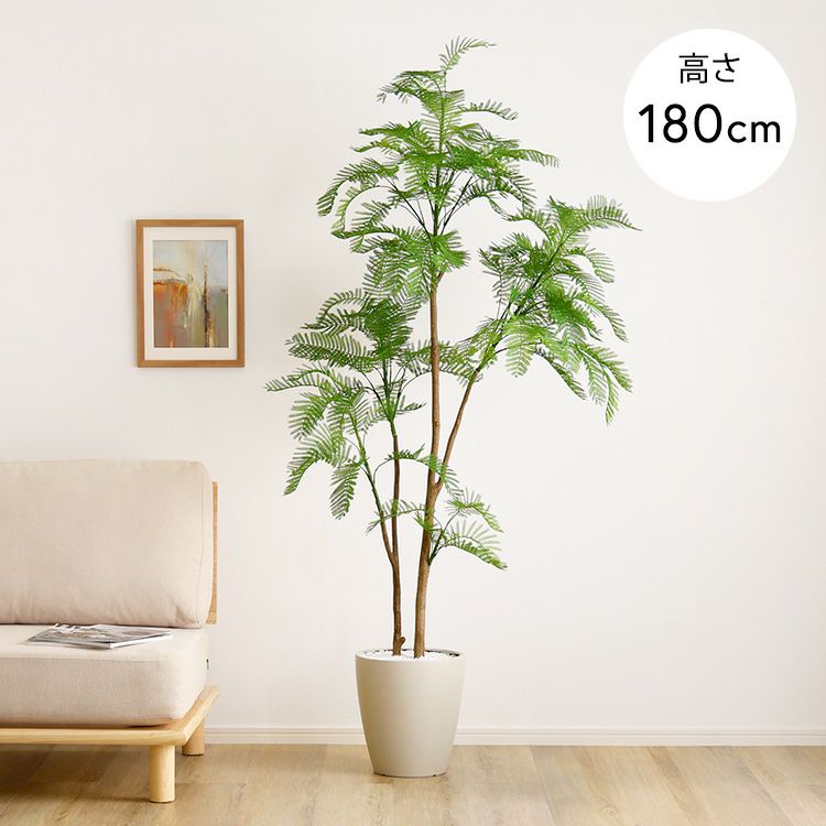 エバーフレッシュ ACTUS購入品／高さ160cm・室内育成・美形株 お手入れ簡単フェイクグリーン エバーフレッシュ Lサイズ(180cm) [SH