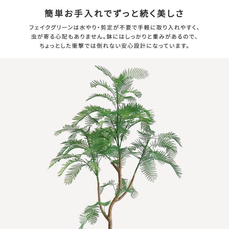 お手入れ簡単フェイクグリーン エバーフレッシュ Lサイズ(180cm) [SH