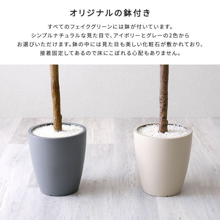 お手入れ簡単フェイクグリーン エバーフレッシュ Lサイズ(180cm) [SH